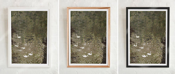 Willow Swans